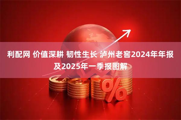 利配网 价值深耕 韧性生长 泸州老窖2024年年报及2025年一季报图解