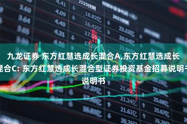 九龙证券 东方红慧选成长混合A,东方红慧选成长混合C: 东方红慧选成长混合型证券投资基金招募说明书