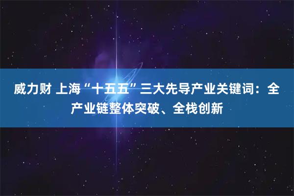 威力财 上海“十五五”三大先导产业关键词：全产业链整体突破、全栈创新
