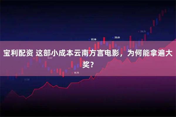 宝利配资 这部小成本云南方言电影，为何能拿遍大奖？