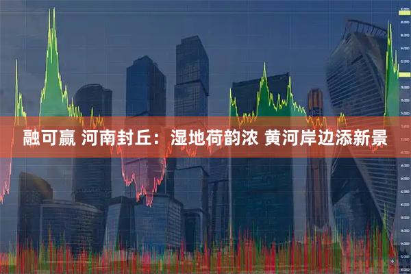融可赢 河南封丘:湿地荷韵浓 黄河岸边添新景