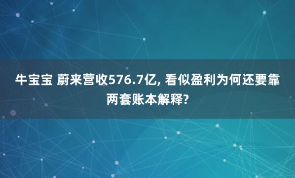牛宝宝 蔚来营收576.7亿, 看似盈利为何还要靠两套账本解释?